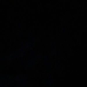 Meet your Posher, Nora